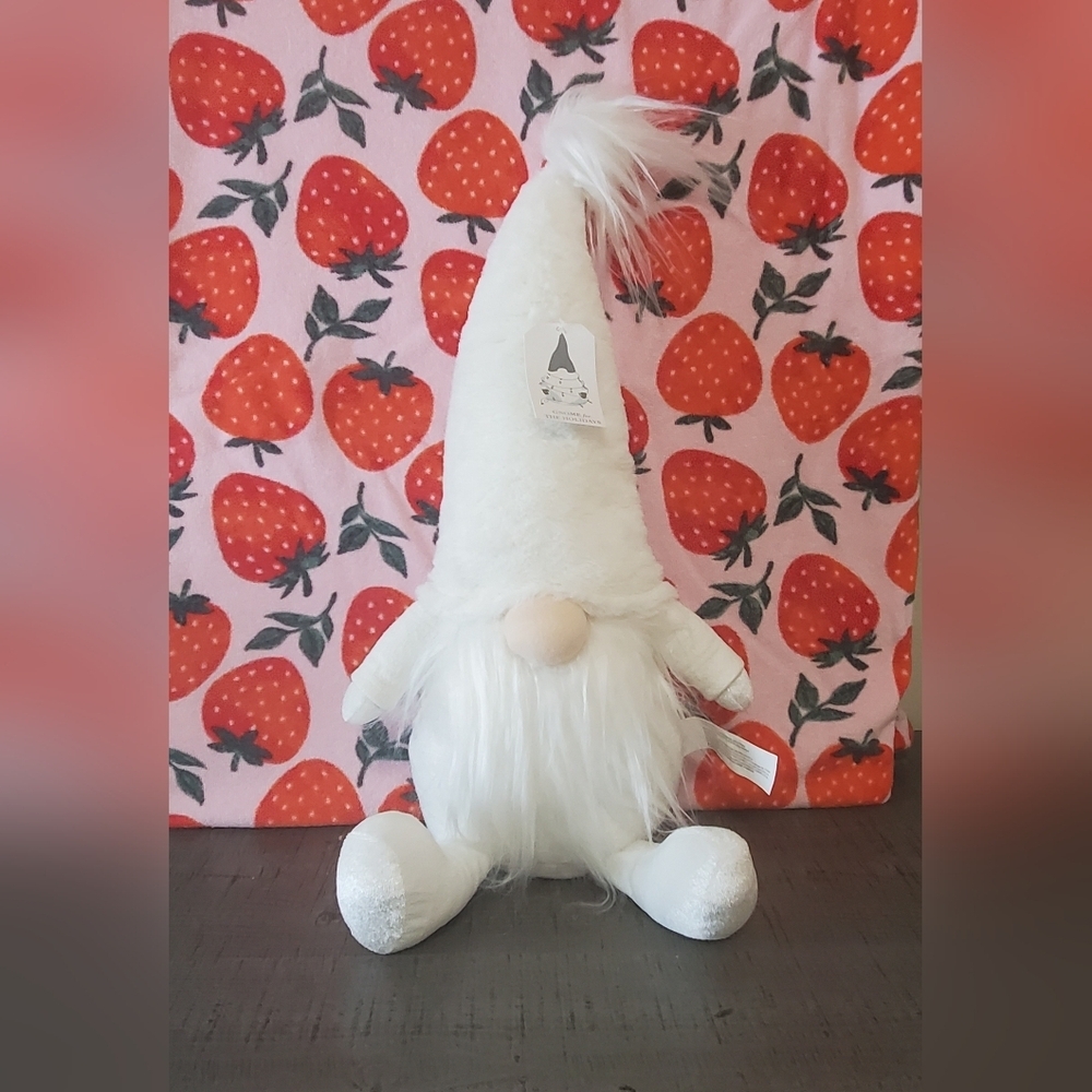 Gnome For The Holidays